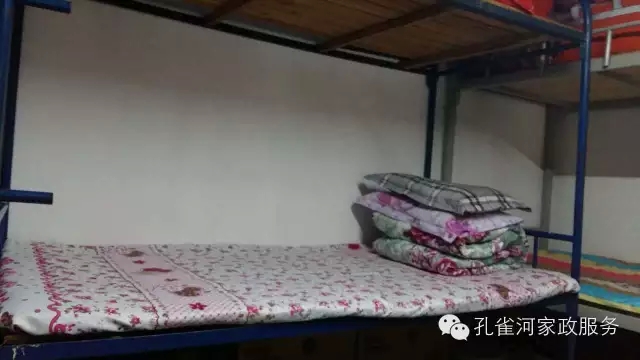 ��ȸ�Ӽ�����ķ������ů��ů�����ģ�