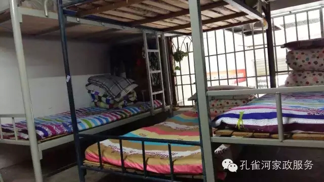 ��ȸ�Ӽ�����ķ������ů��ů��������