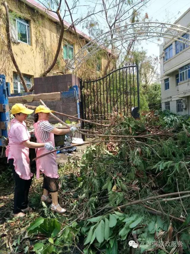 ��������y���������