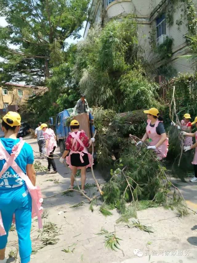 ��������y���������