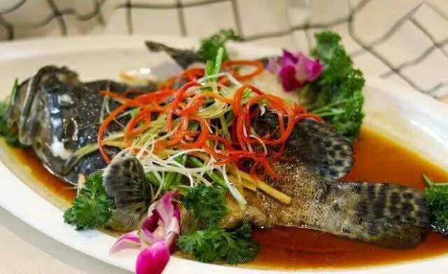 ��������ȸ����������n���_(k��i)�n��